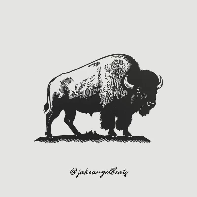 Bison artwork
